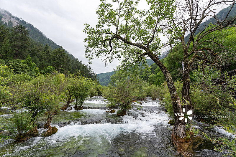 九寨沟老虎海风景图片素材