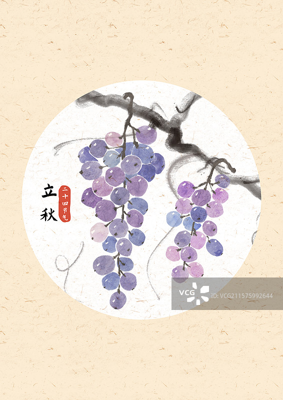 立秋葡萄国风插画图片素材
