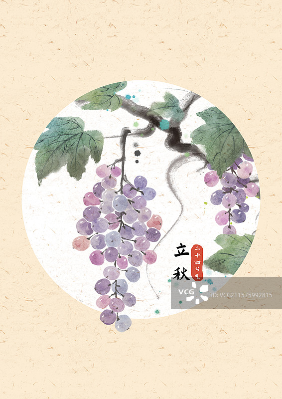立秋葡萄国风插画图片素材