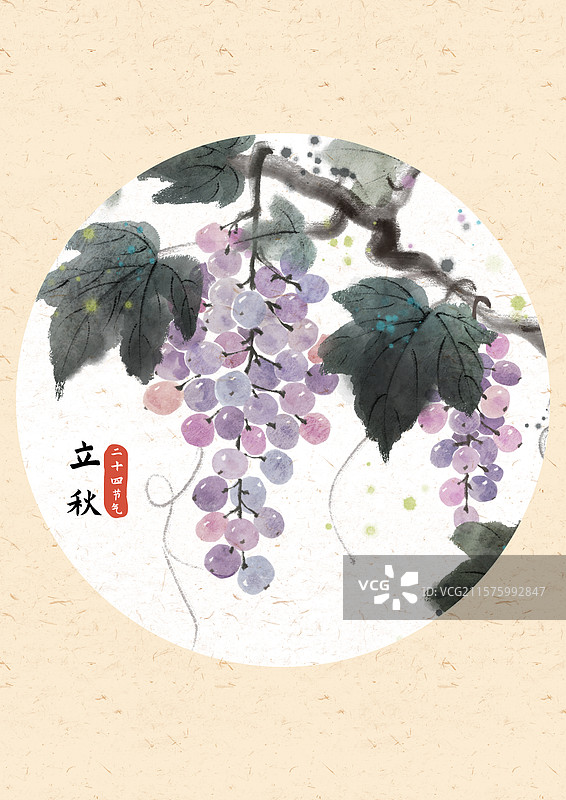 立秋葡萄国风插画图片素材