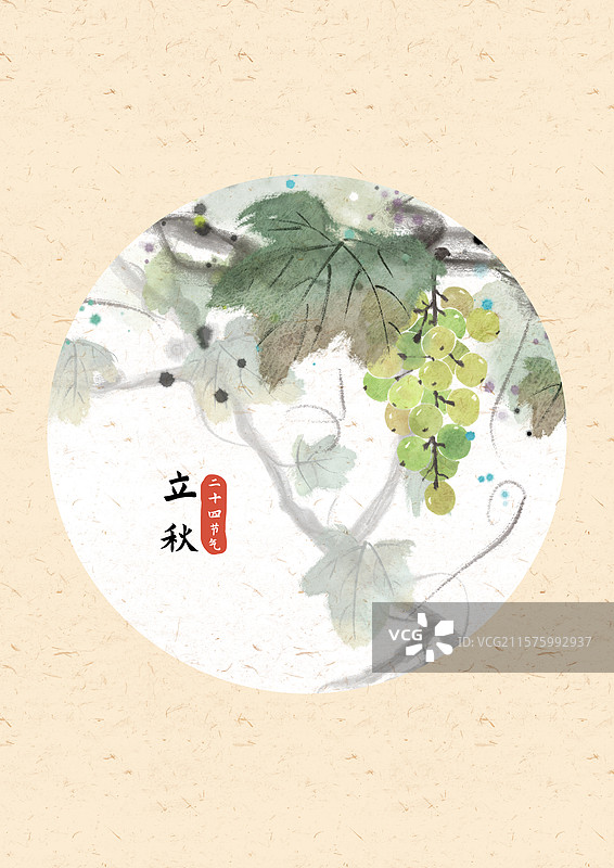 立秋葡萄国风插画图片素材