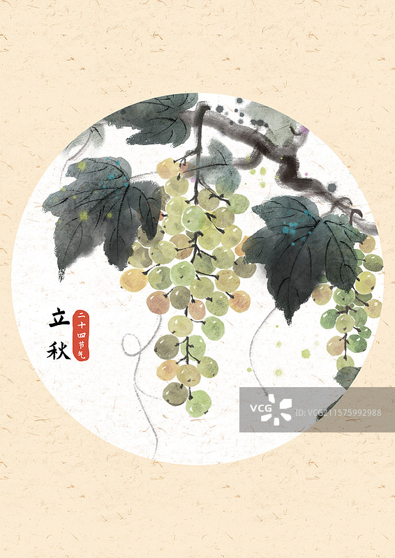 立秋葡萄国风插画图片素材
