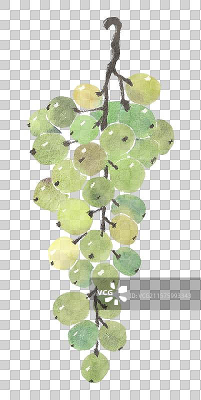 葡萄图片素材