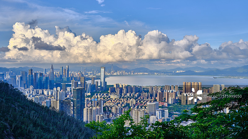 深圳南山-后海-深圳湾风光图片素材
