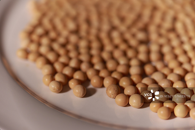 黄豆图片素材