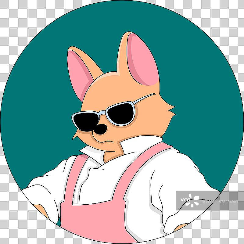 时尚的厨师戴着太阳镜的黄鼠狼图片素材