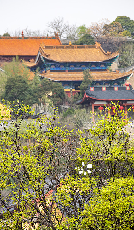 江苏徐州彭祖园春天樱花背景中的云龙山风景区兴化禅寺建筑景观图片素材
