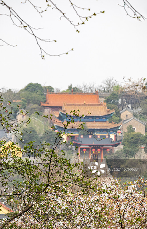 江苏徐州彭祖园春天樱花背景中的云龙山风景区兴化禅寺建筑景观图片素材