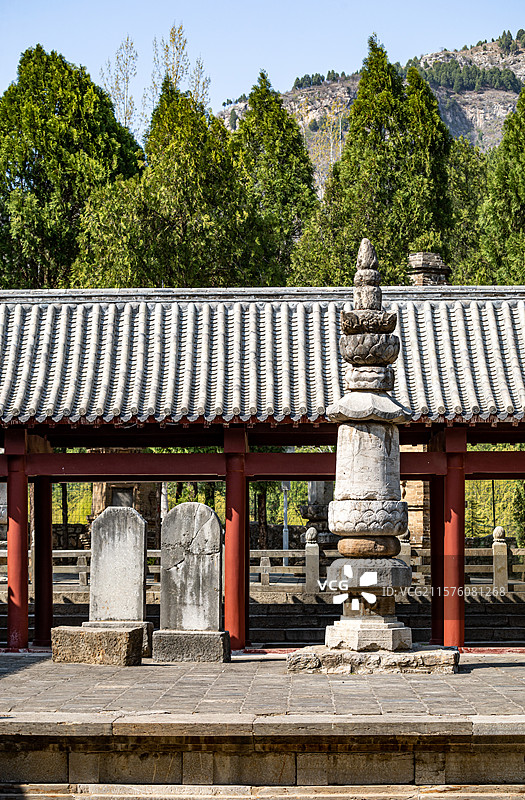 春天的山东济南四门塔风景区景色景观图片素材