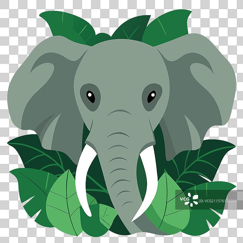 一只部分隐藏在植物中的大象特写镜头图片素材