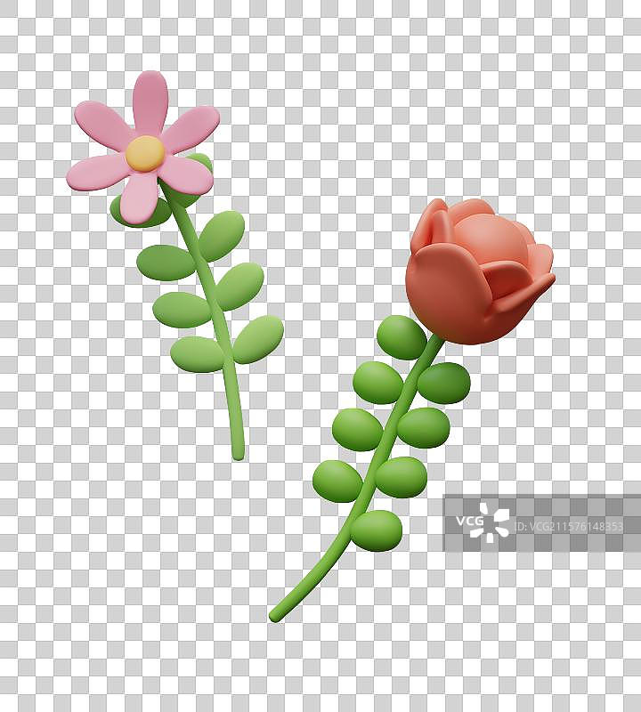 有趣的花朵用于可爱的自然构图植物图片素材