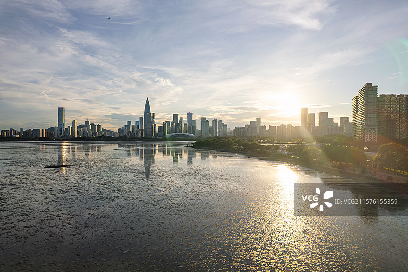 深圳湾公园白鹭坡、深超总、后海航拍图片素材