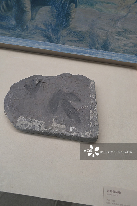 恐龙足迹图片素材