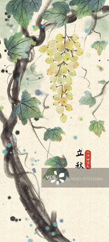 立秋葡萄国风插画图片素材