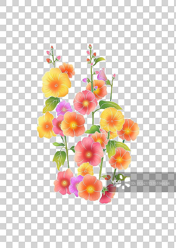 蜀葵花插画图片素材