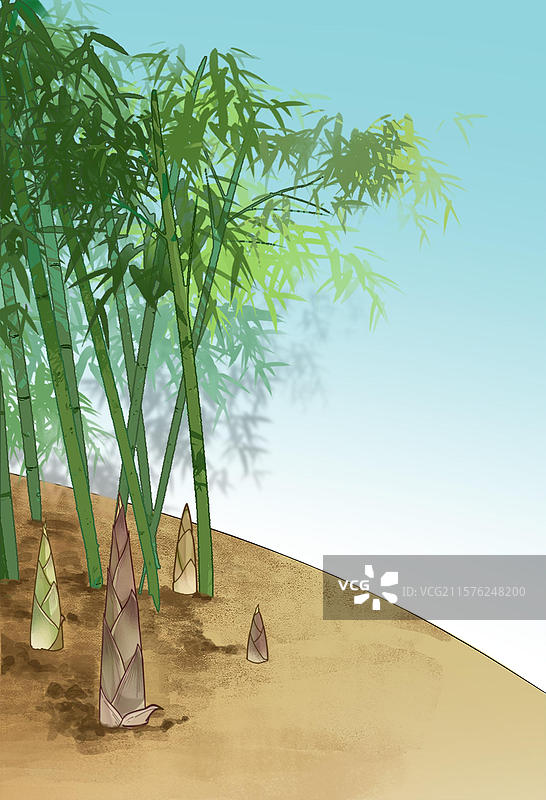 竹林竹海竹子竹笋食物食材野外野味蔬菜美味场景插画图片素材