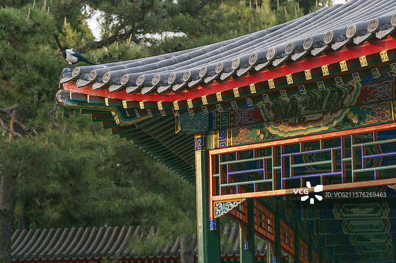 北京中山公园古建筑亭子长廊图片素材