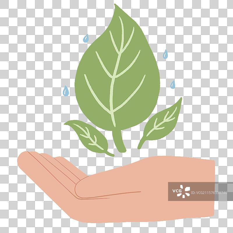 手掌托着绿叶图片素材