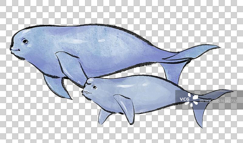 江豚长江保护珍惜动物手绘风格插画元素图片素材