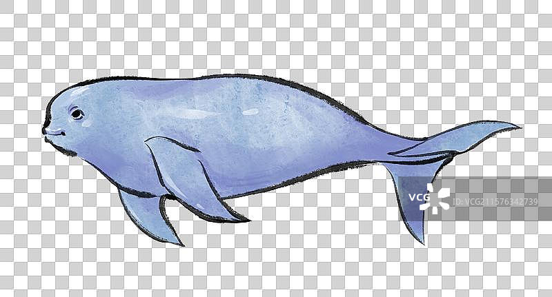 江豚长江保护珍惜动物手绘风格插画元素图片素材