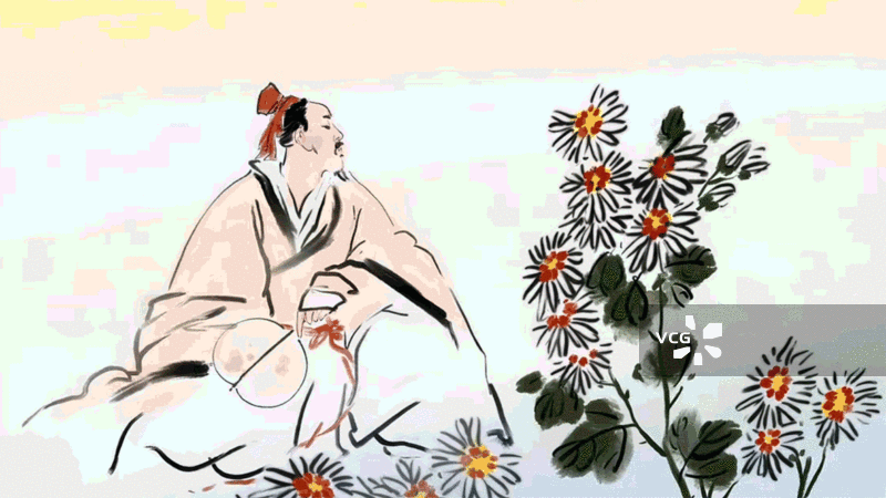 秋天 菊花 陶渊明 重阳节 诗人 健康 长寿图片素材