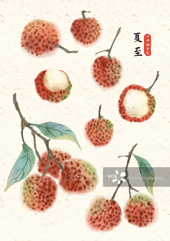 夏至荔枝节气国风插画图片素材