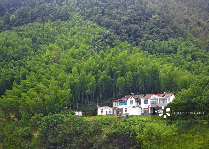 安徽六安佛子岭水库岸边的绿荫人家图片素材