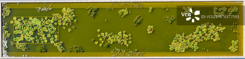 池塘，就是一幅水彩画图片素材