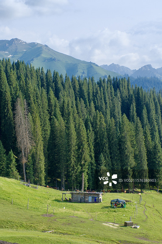 林间小木屋图片素材