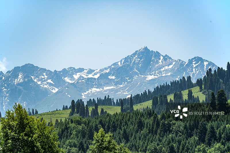 恰西画卷图片素材