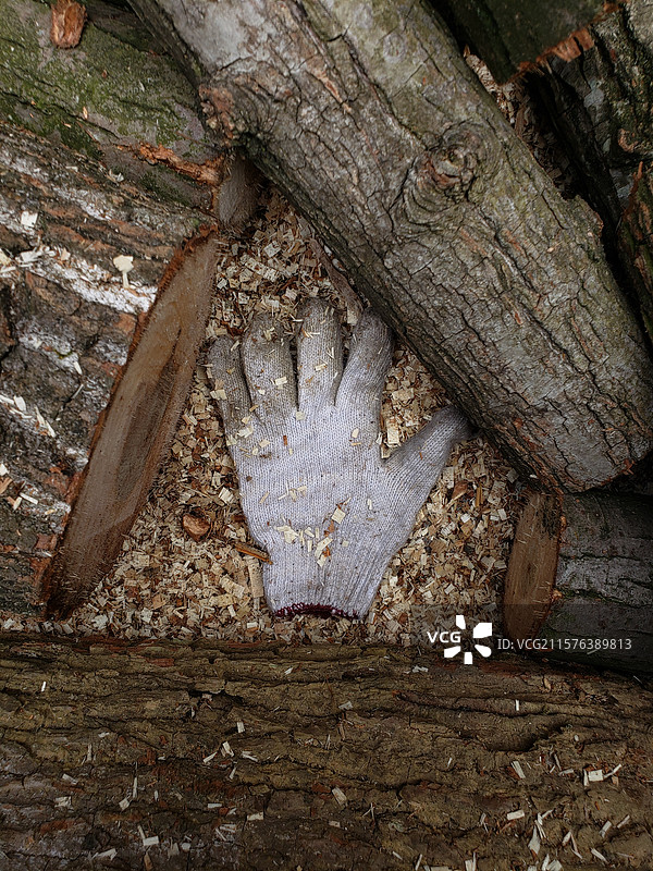 木间手套图片素材