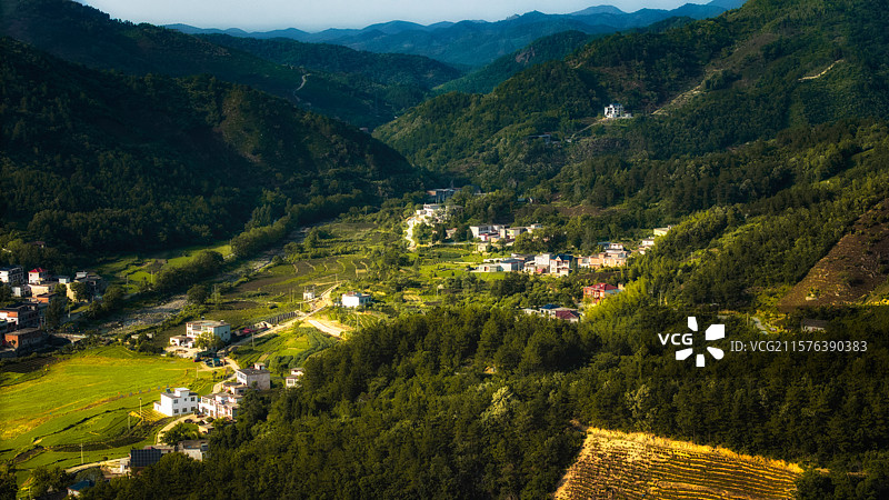 高角度视野下的树木和房屋图片素材