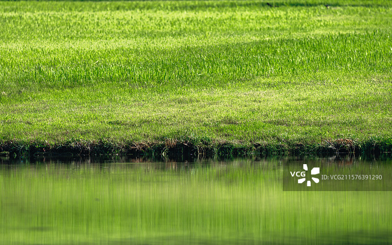 青山绿水，生机无限图片素材
