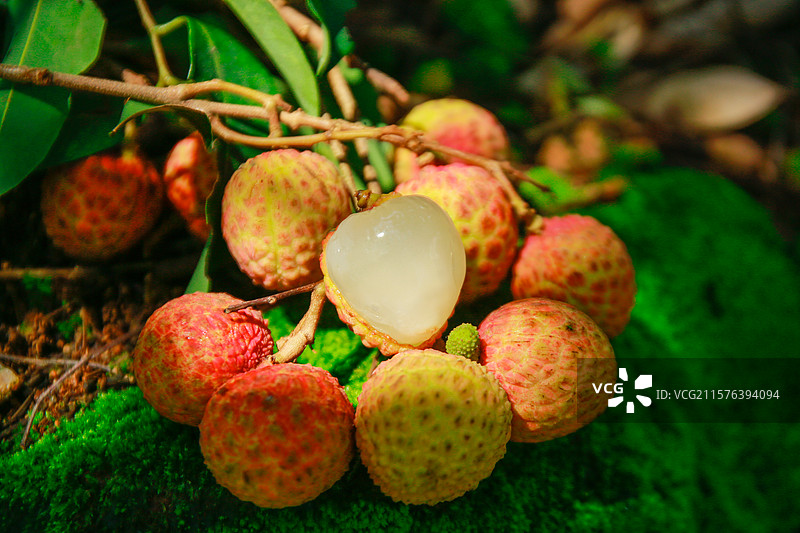 剥壳荔枝图片素材