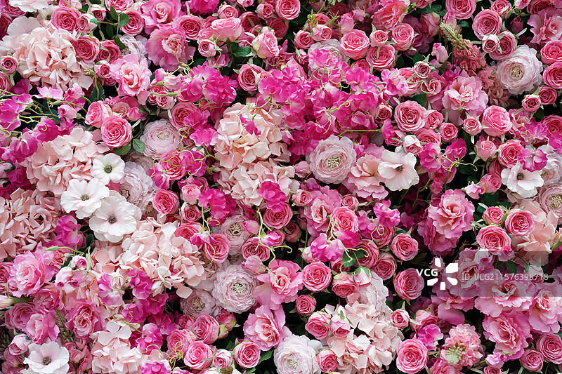 粉色玫瑰花背景墙图片素材