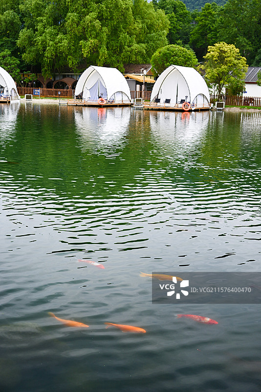 鱼凫湿地图片素材