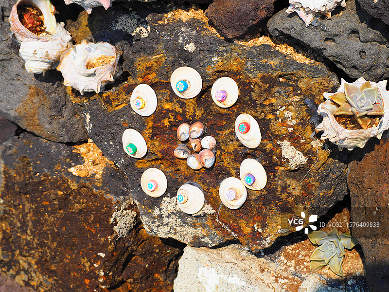 石头上的五彩贝壳图片素材