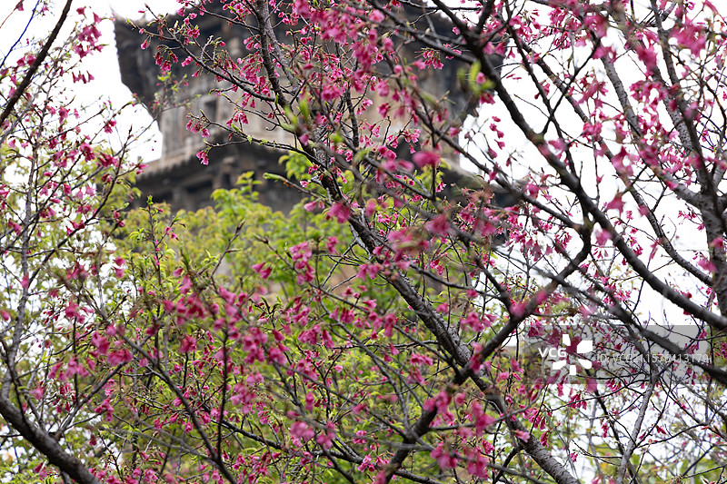 古厝烟火，巷弄时光，遇见最闽南的市井风情图片素材