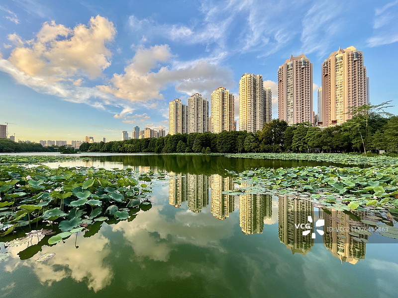 深圳洪湖公园图片素材