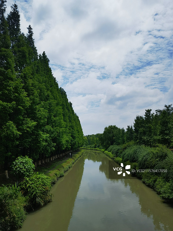 成都升仙湖公园水杉林图片素材