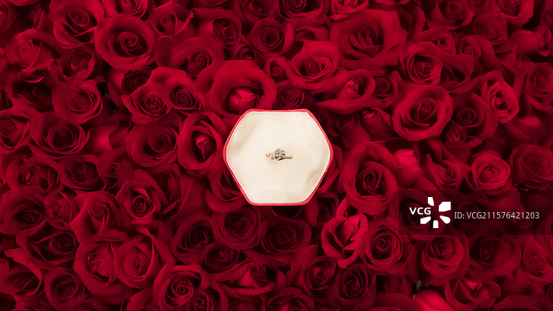 求婚现场大量红色玫瑰花上的结婚戒指及对戒图片素材