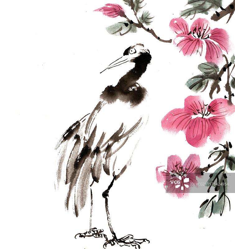 红花与丹顶鹤图片素材