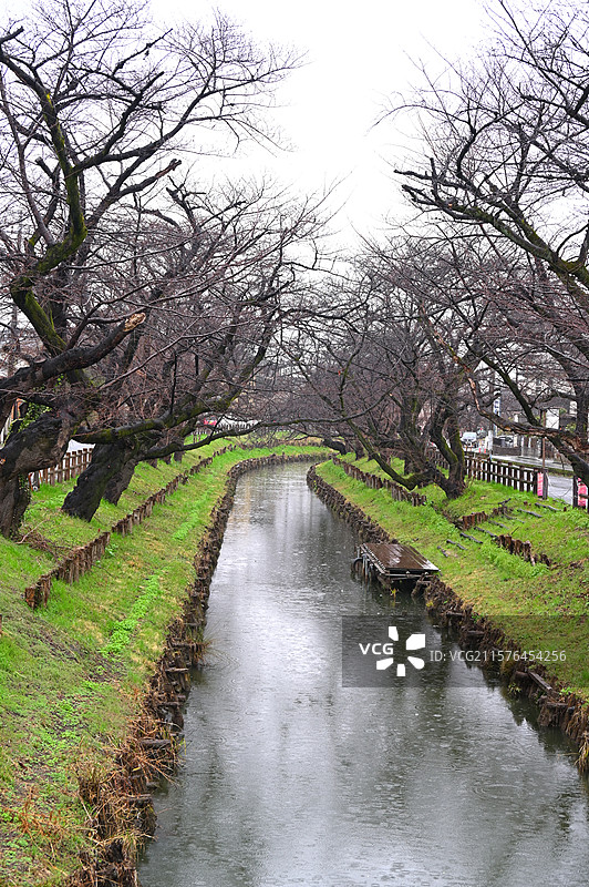 日本川越樱花河道图片素材