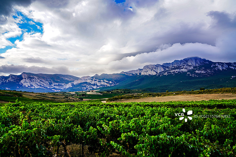 西班牙里奥哈葡萄酒产区酒庄及环境图片素材