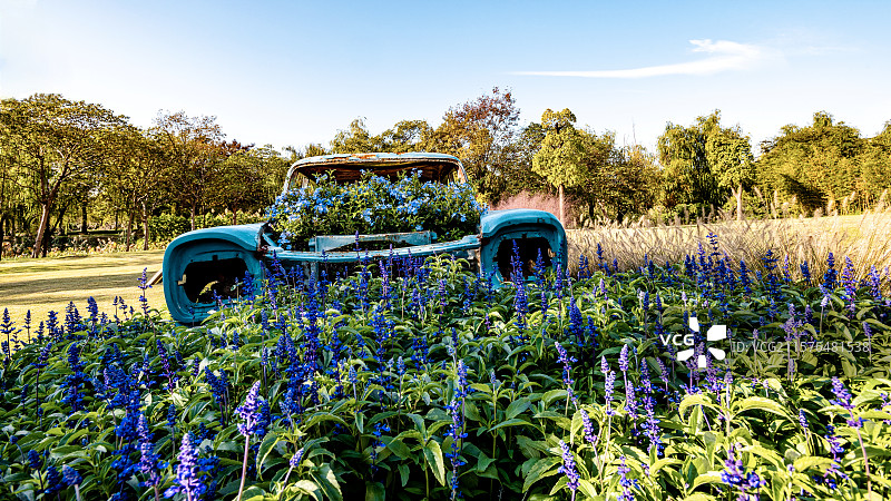 上海嘉定安亭汽车博览公园公园废弃里的汽车和植物花草图片素材