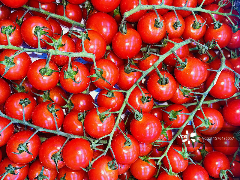 圣女果图片素材