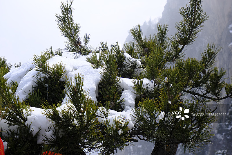 华山雪景图片素材