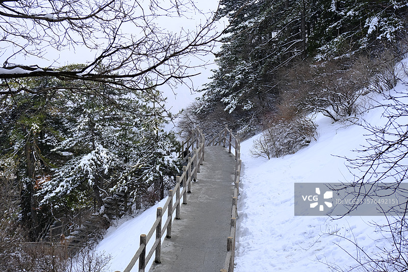 华山雪景图片素材