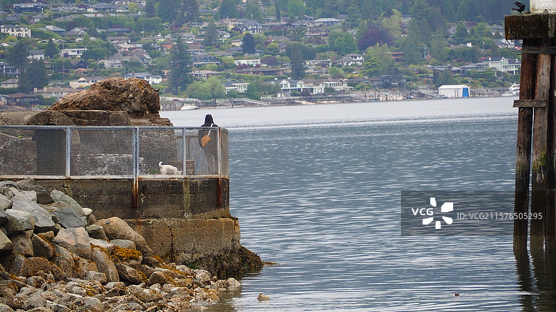 巴尼特海洋公园图片素材