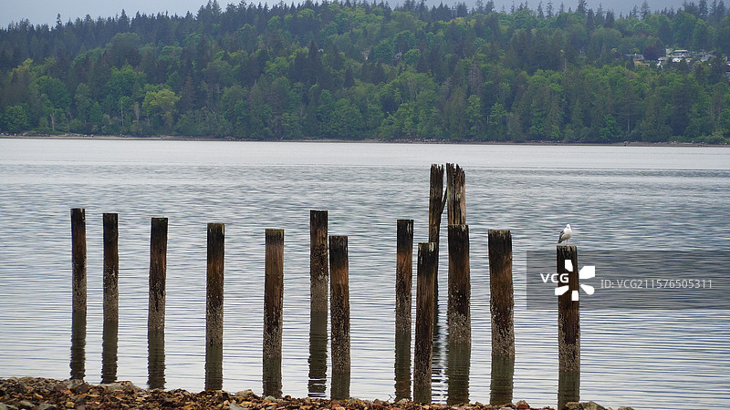 巴尼特海洋公园图片素材
